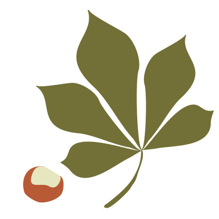 Chestnuts and Leaf. Flat style Vector isolated on a white background. Autumn floral illustration for Thanksgiving day decoration, Harvest festival. Seasonal Design elements, Botanical objectsのイラスト素材