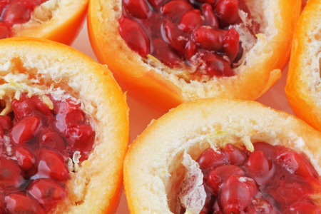 Passion fruit  - A plan view of passion fruit havesの写真素材