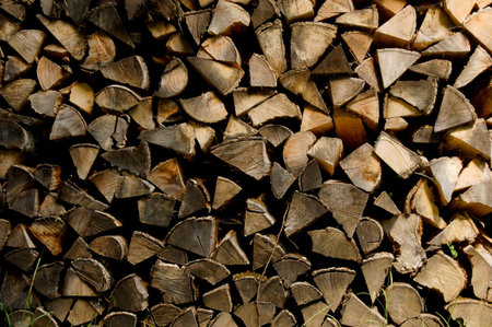 A pile of firewood, cut into interesting irregular shapes.