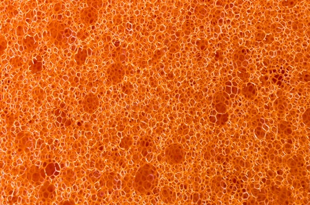 Orange sponge texture, front view, full frame, high resolution, all focus の写真素材