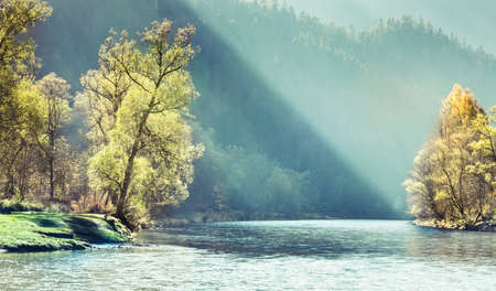 Foggy and sunny morning on the Dunajec River. The sun's rays illuminate the yellow trees. Pieniny National Park.の写真素材