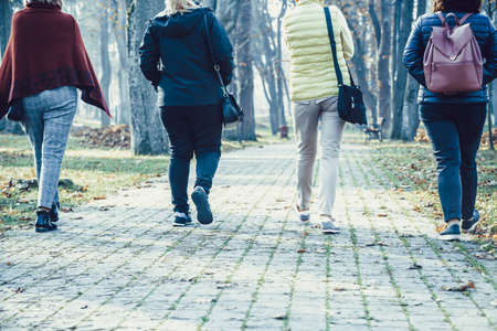 Group of four older women is walking along the alley in the park - generation of baby boomers on a walkの写真素材