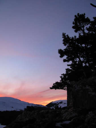 Decline, pink, beautiful, bright, winter, a plateau, mountains, a kind, a panorama, a landscape, the nature, a landscape, snow, wood, the Alpine meadows, a relief, caucasus, beauty, a background, reserve, a slope, flora, a ridge, clouds, the sky, a pineの写真素材