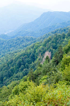 Mountains of the Caucasian natural reserve