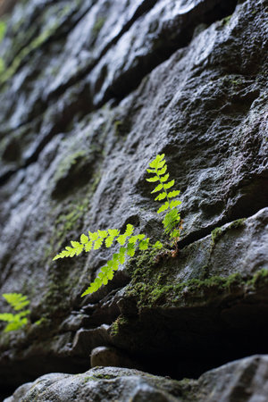 Falls in mountains of caucasusの写真素材