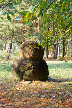 Ancient arboretum on the northwest Caucasusの写真素材