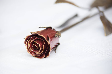 Beautiful handmade wrought iron rose from Russiaの写真素材