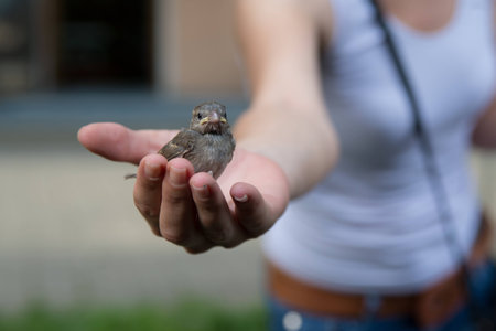 Charming young girl on a studio photo shootの写真素材
