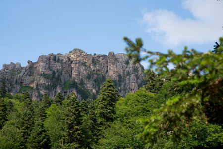 Majestic mountain landscapes of the Caucasian reserveの写真素材