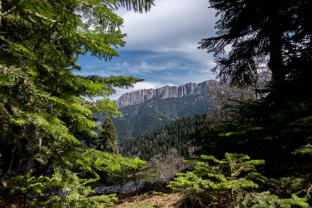 The mountain range of the Big Thach natural park. Adygeaの写真素材