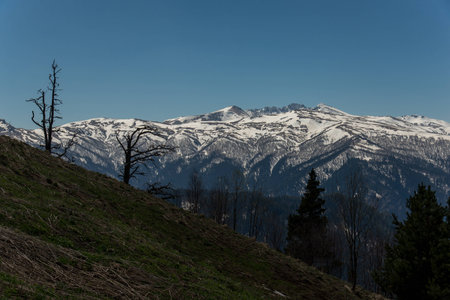 The mountain range of the Big Thach natural park. Adygeaの写真素材