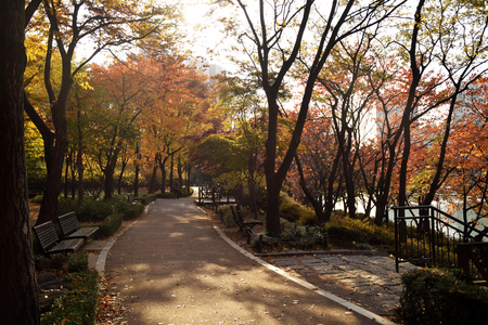 Walking in the autumn parkの写真素材