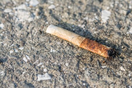 A used discarded cigarette.