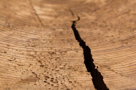 A close up shot of the texture and grain in a cut stump of a tree with a crack splitting it open from the side.の写真素材