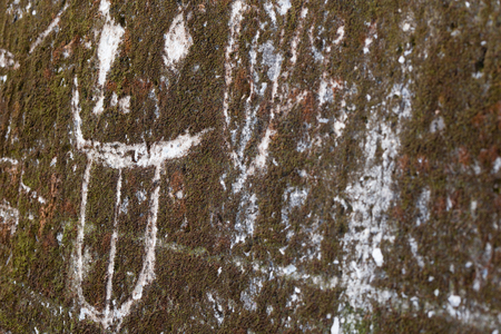 A happy smiling face carved into dark green moss on a stone wall.の写真素材