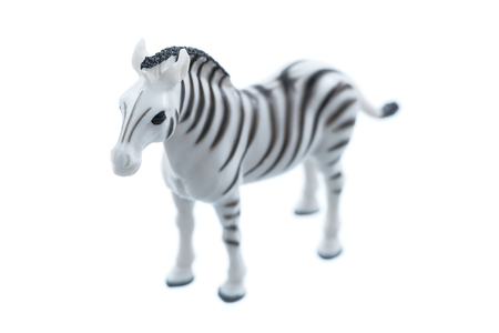 A small toy zebra isolated on a white background.の写真素材