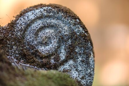 A rock sculpted to be shaped like a spiral covered in moss with a smooth orange out of focus...