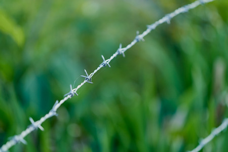 A line of barbed wire with one barb in sharp focus while the rest are blurred out artistically with green grass in the background.の写真素材