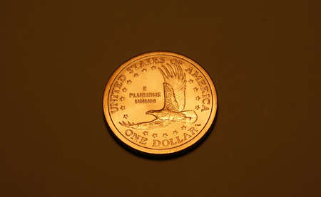 Coin one dollar of Ecuador tails variantの写真素材