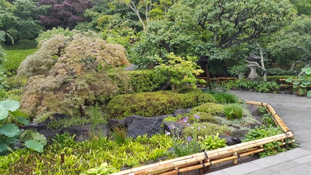 Garden path, the path in the greenery and beautiful garden.の写真素材