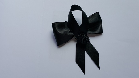 Black bow on the white floorの写真素材