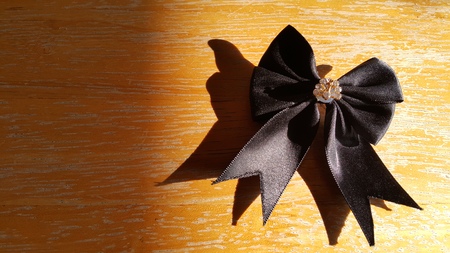 Elegant black bow under the Sun shine.の写真素材