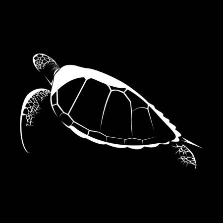 silhouette of turtle isolated on black background vector illustrationのイラスト素材