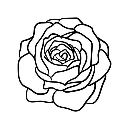 simple hand drawn line art rose flower vector illustration suitable for decoration and logo templateのイラスト素材