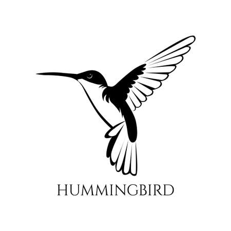 black and white hummingbird vector illustrationのイラスト素材
