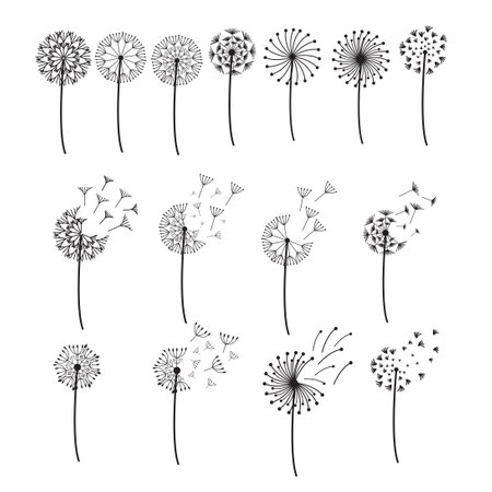 simple dandelion illustration vector setのイラスト素材