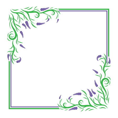 modern lavender plant border frame design template with green and purple colorのイラスト素材