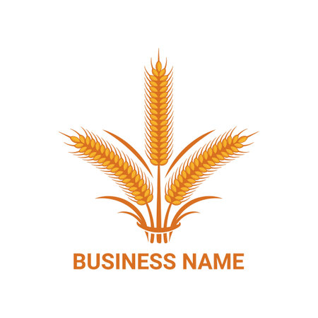 golden wheat illustration vector templateのイラスト素材