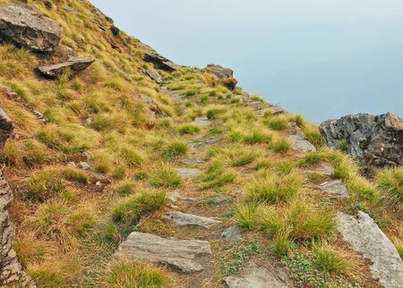 close up of mountain trail with bunches of long grasses