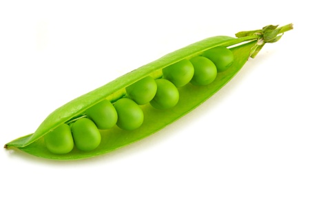 close up of split pod of sweet pea isolated on whiteの写真素材