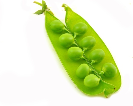 close up of split pod of sweet pea isolated on whiteの写真素材