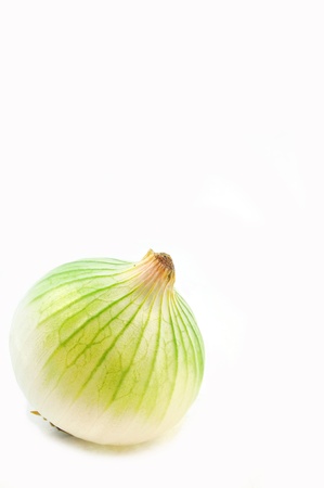 close up of white onion isolated on white backgroundの写真素材