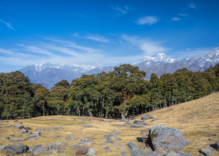 scattered rock pieces in alpine meadowの写真素材