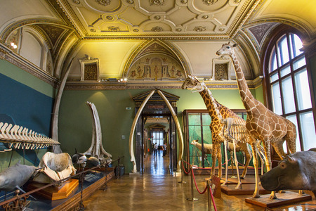 Vienna, Austria. The Naturhistorisches (Natural History) Museum. The Natural History Museum in Vienna is the counterpart of the Kunsthistorisches Museum, directly opposite. It was designed by G. Semper and K. Hasenauer and was completed in 1881のeditorial素材