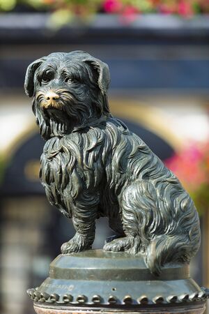 Greyfriars Bobby statue outside Greyfriars Churchyard, Edinburghの写真素材