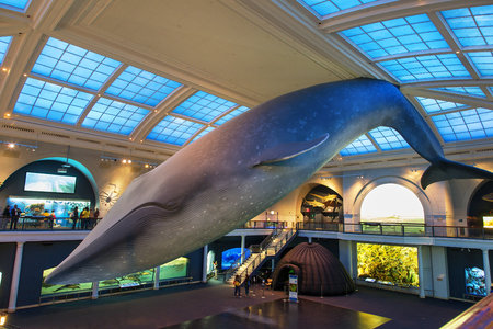 New York City, American Museum Of Natural Historyのeditorial素材