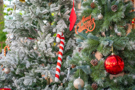 Christmas tree with red and white decoration, closeup of christmas treeの写真素材