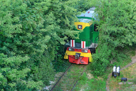 Shunting locomotive emerging from the thicket of green trees on rails. View from above