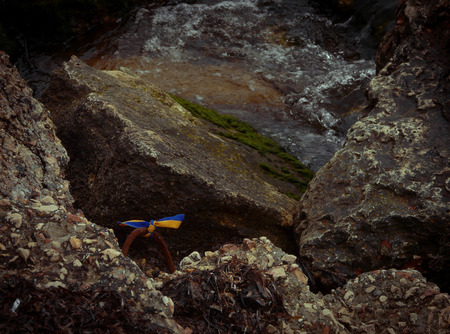 The Ukrainian colors in Crimea