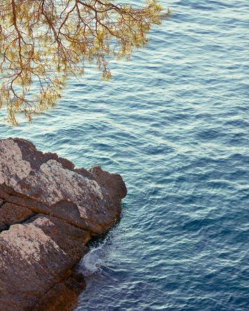 Pine tree above Adriatic Sea, summer landscape, vintage effectの写真素材