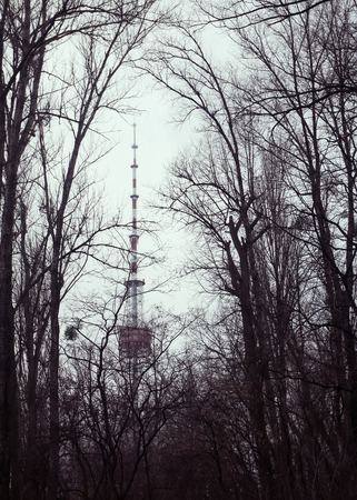 Kyiv television tower in winter haze, The view through the branches of trees of Babi Yarの写真素材
