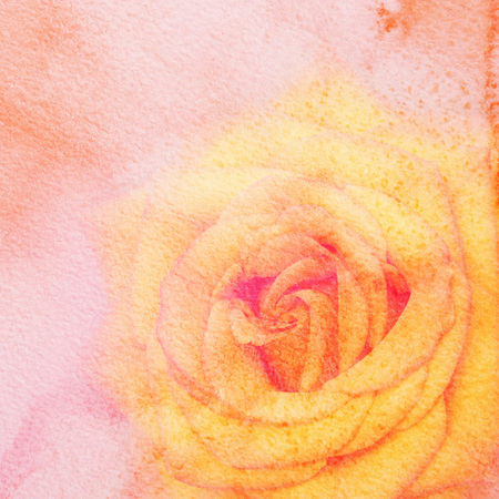 Watercolor painting styled background with orange roseの写真素材