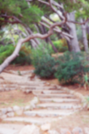 Old ancient stone staircase in the city park; blurred background