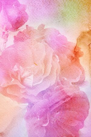 Watercolor painting styled background with pink rosesの写真素材