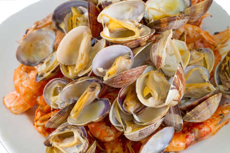 boiled clamsの写真素材