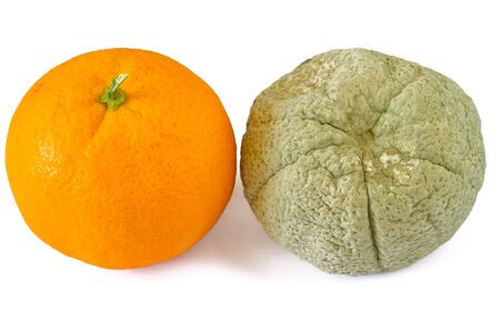 Rotten and fresh orangeの写真素材